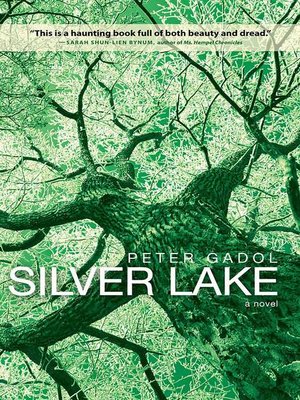 cover image of Silver Lake
